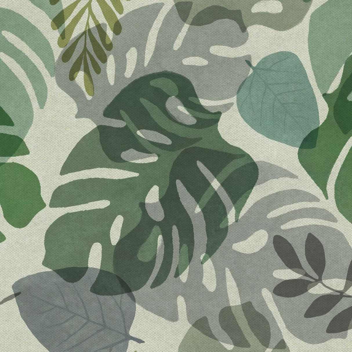 Monstera T148