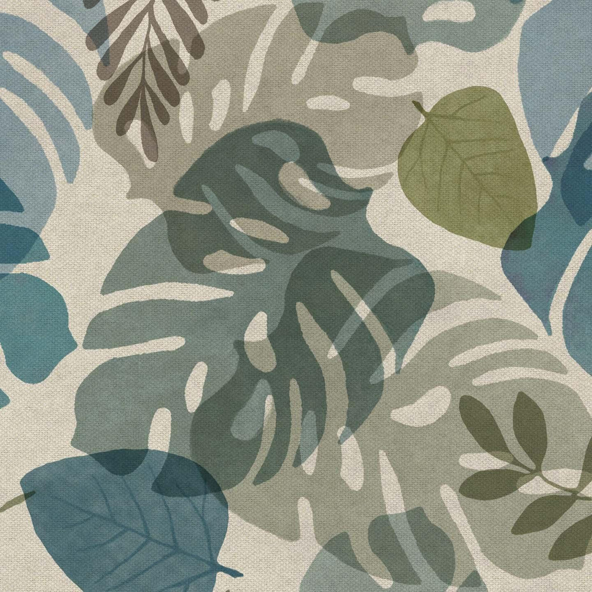 Monstera T157