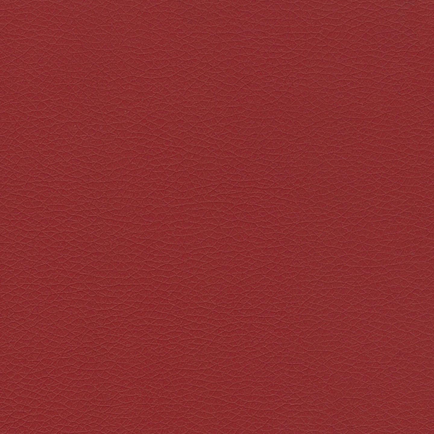 Mexico 23
