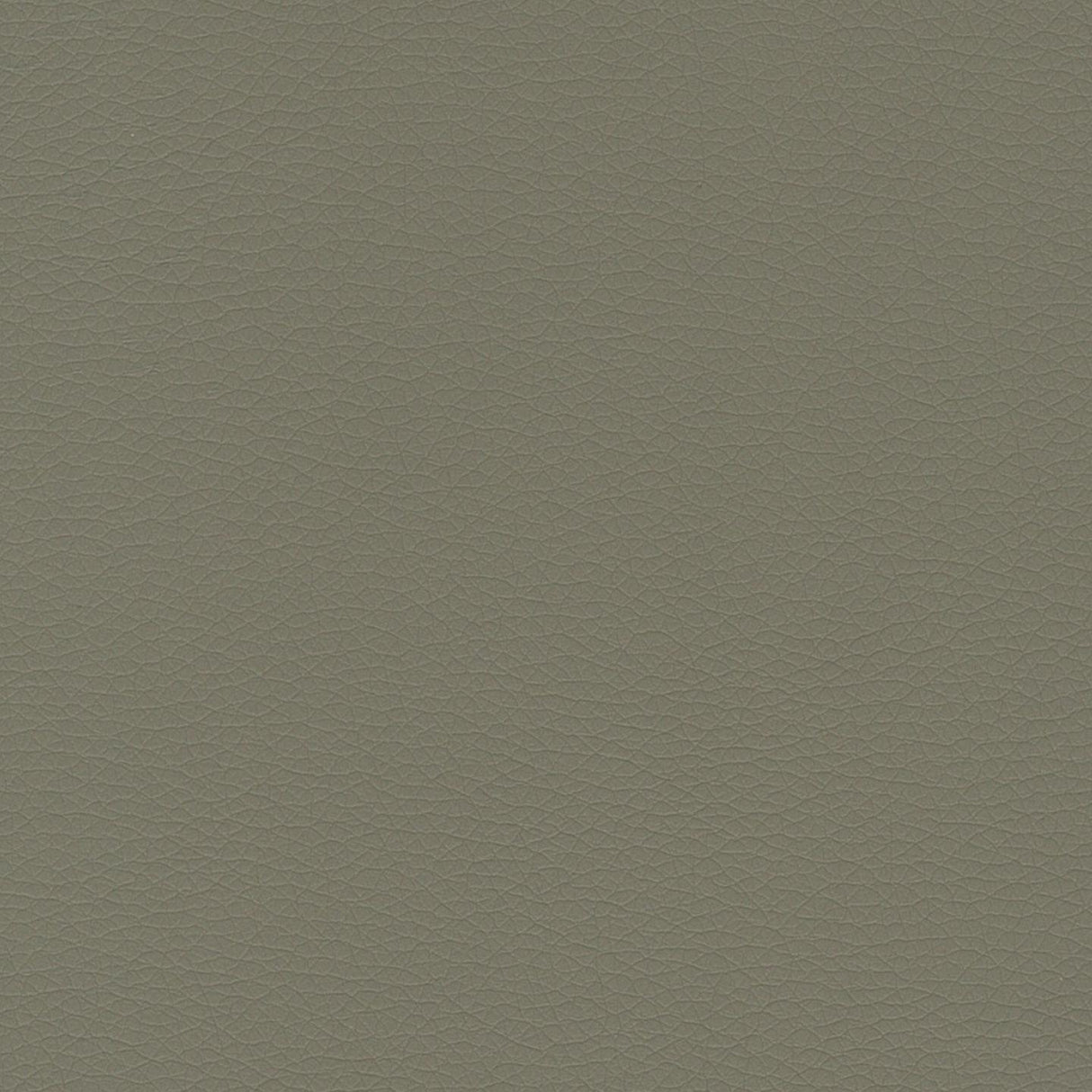 Mexico 44