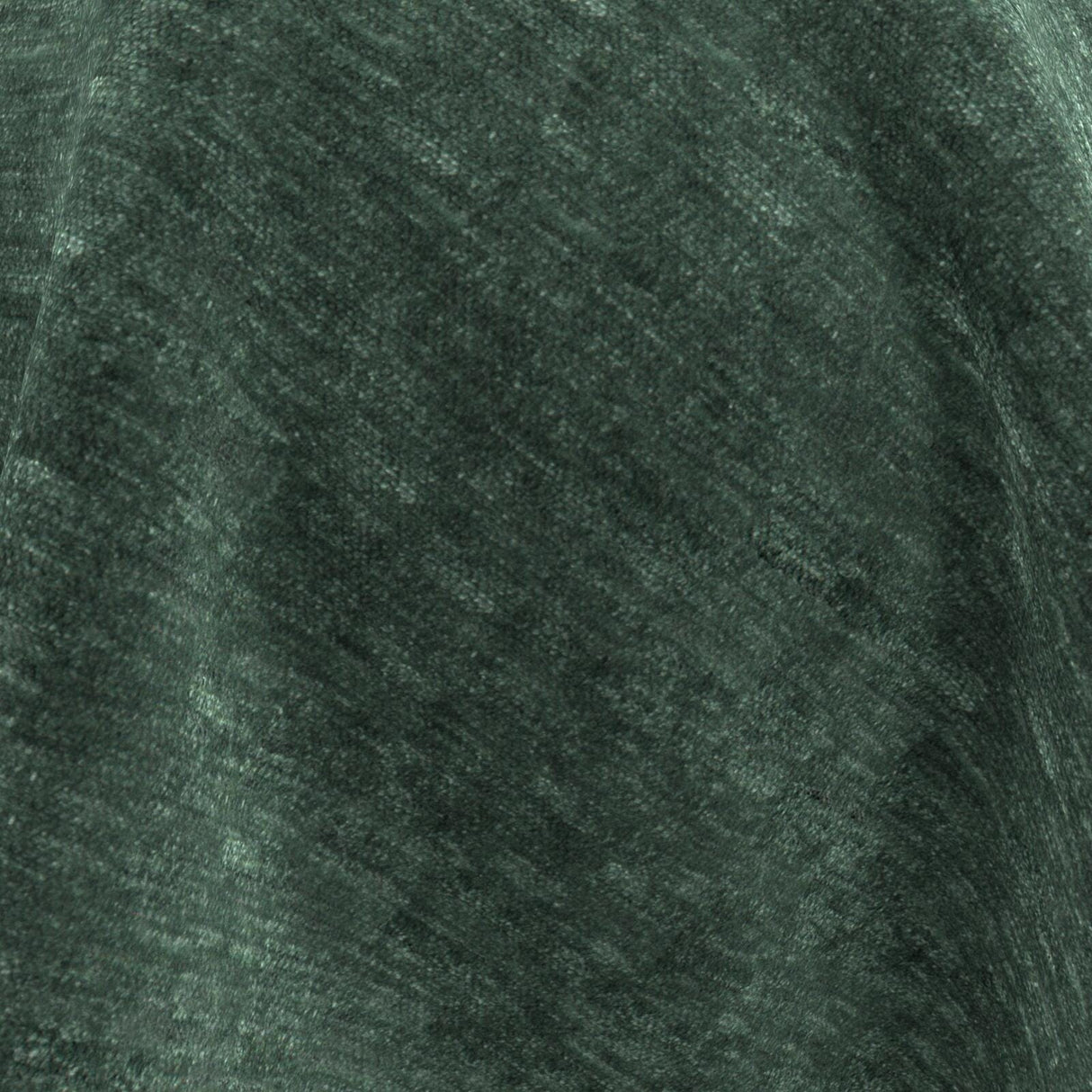 Nero 07 Forest