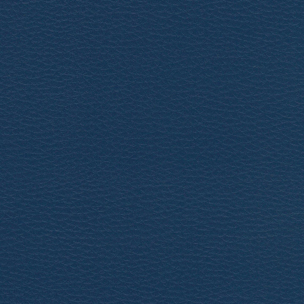 Nevada 635