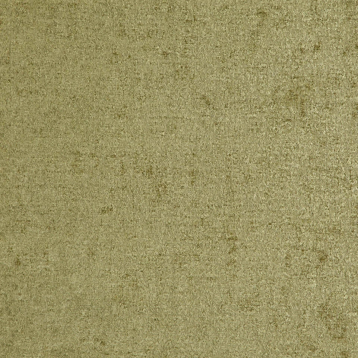 Petronia 08