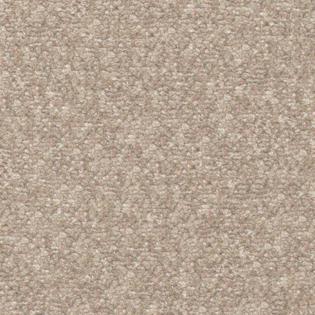 Plush 11