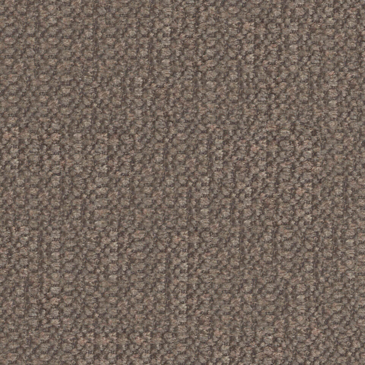 Plush 13