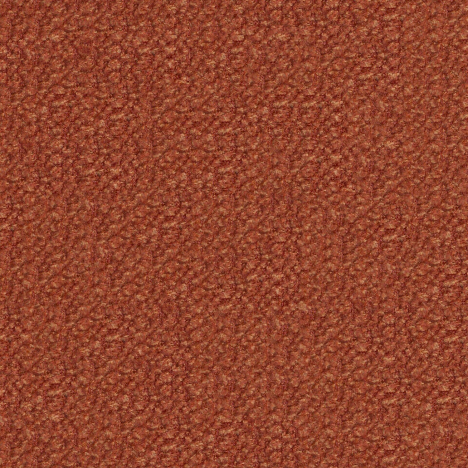 Plush 17