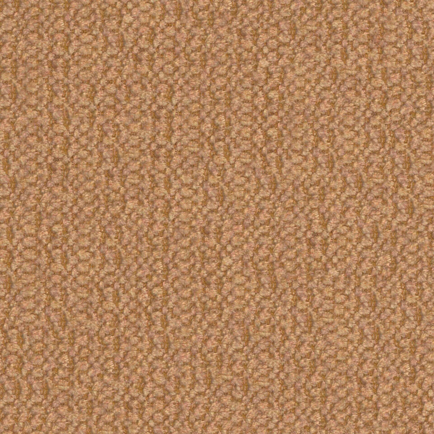 Plush 19