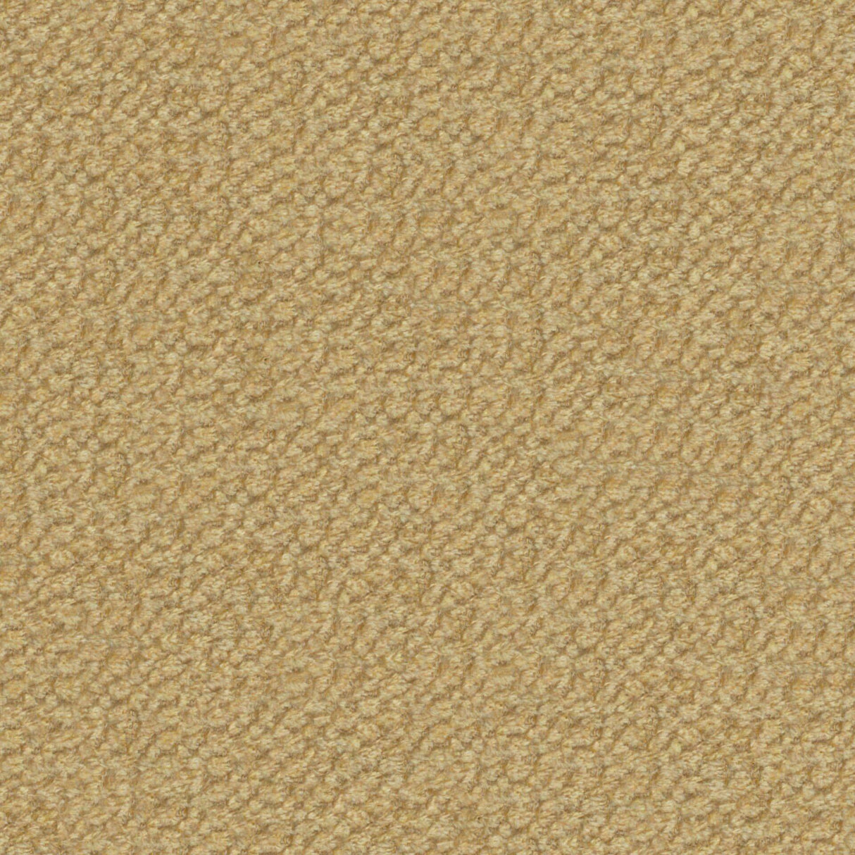 Plush 20