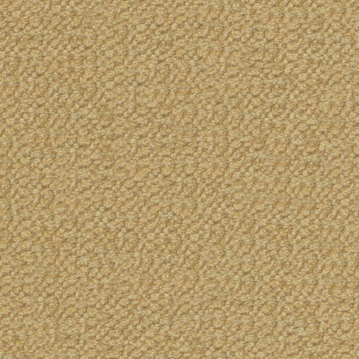 Plush 20