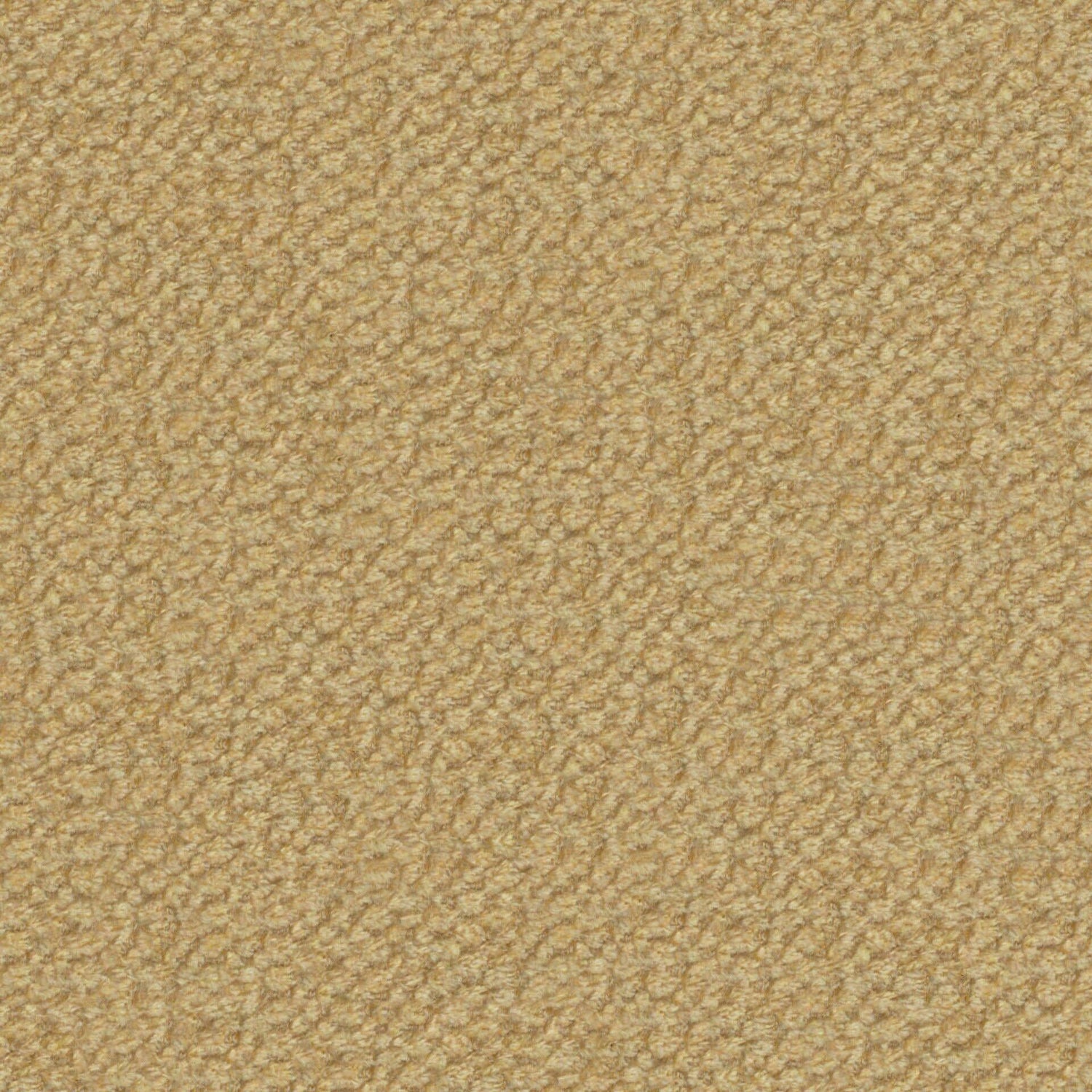 Plush 20