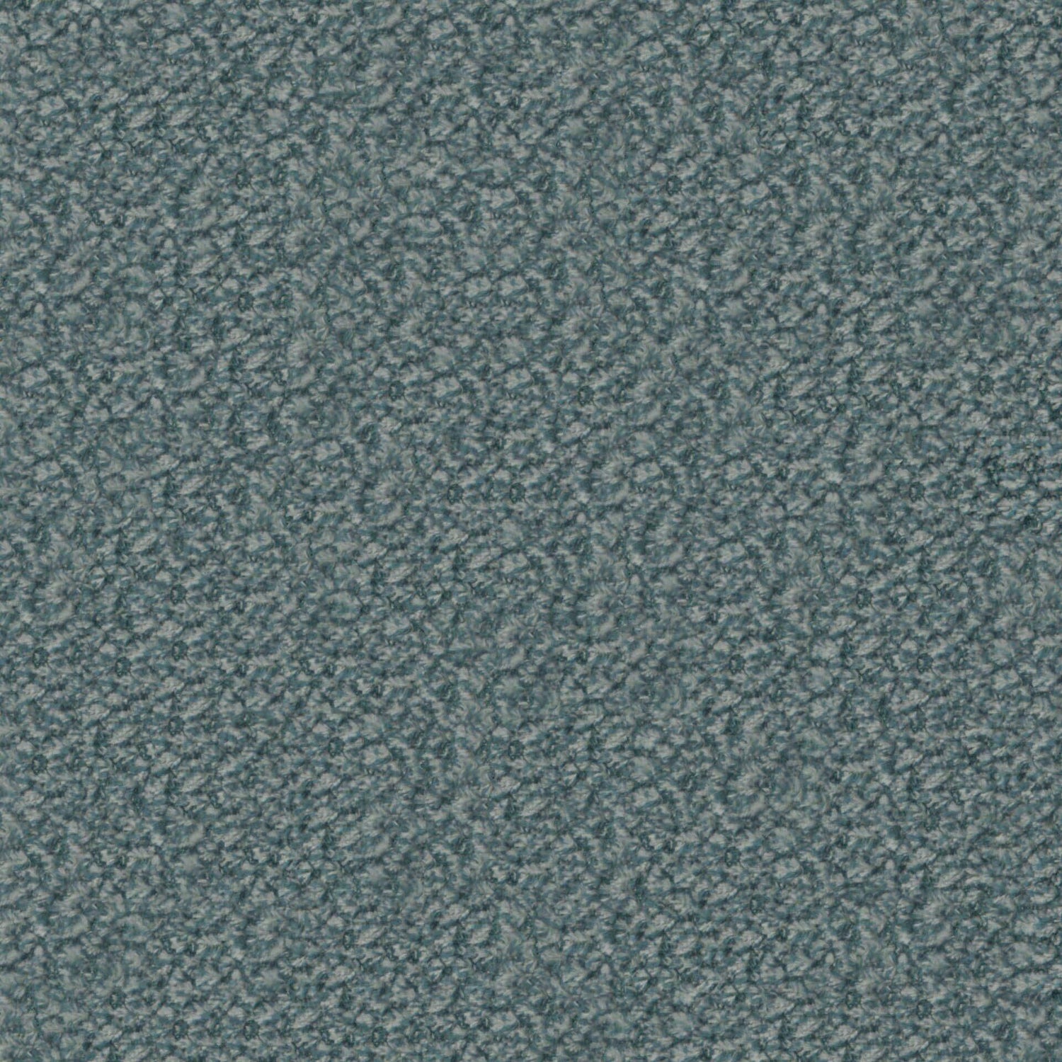 Plush 25
