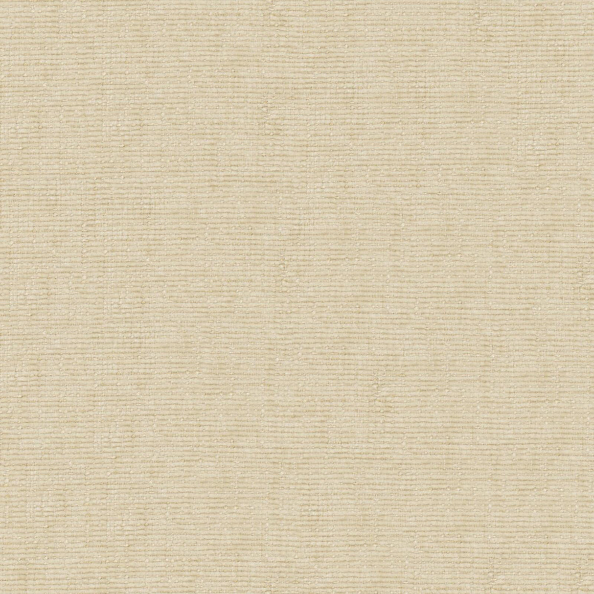 Petal 13