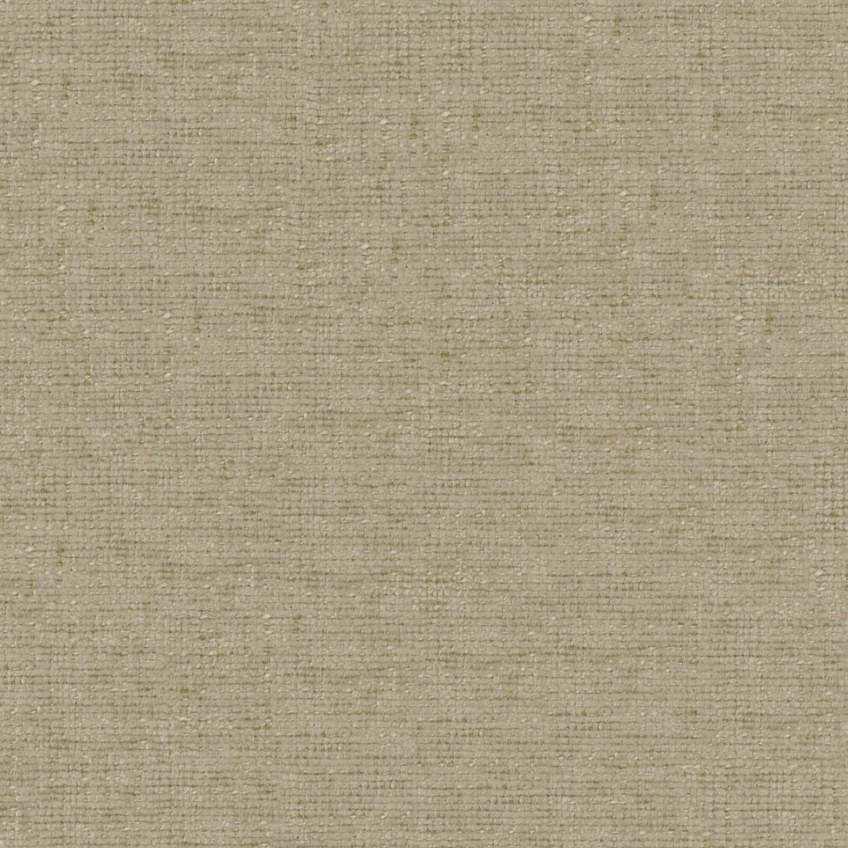 Petal 16