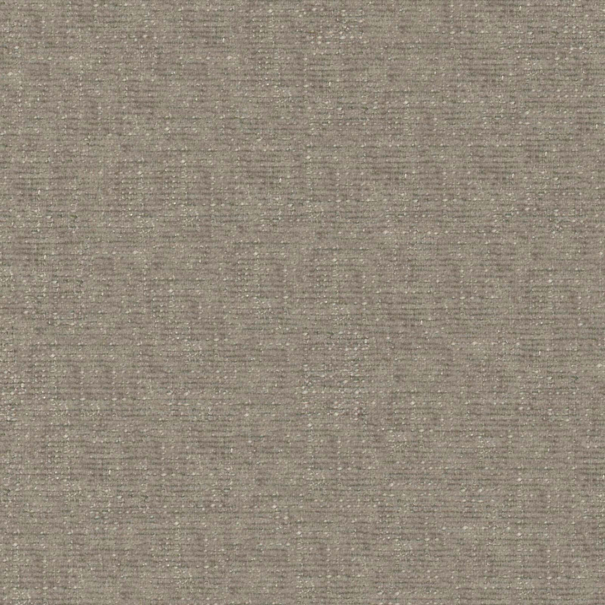 Petal 17
