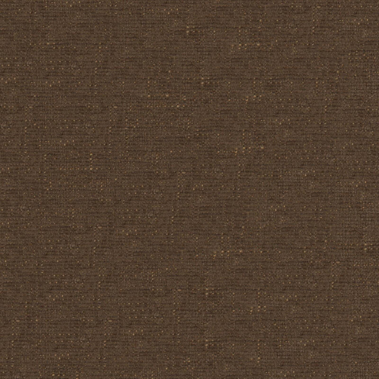 Petal 18