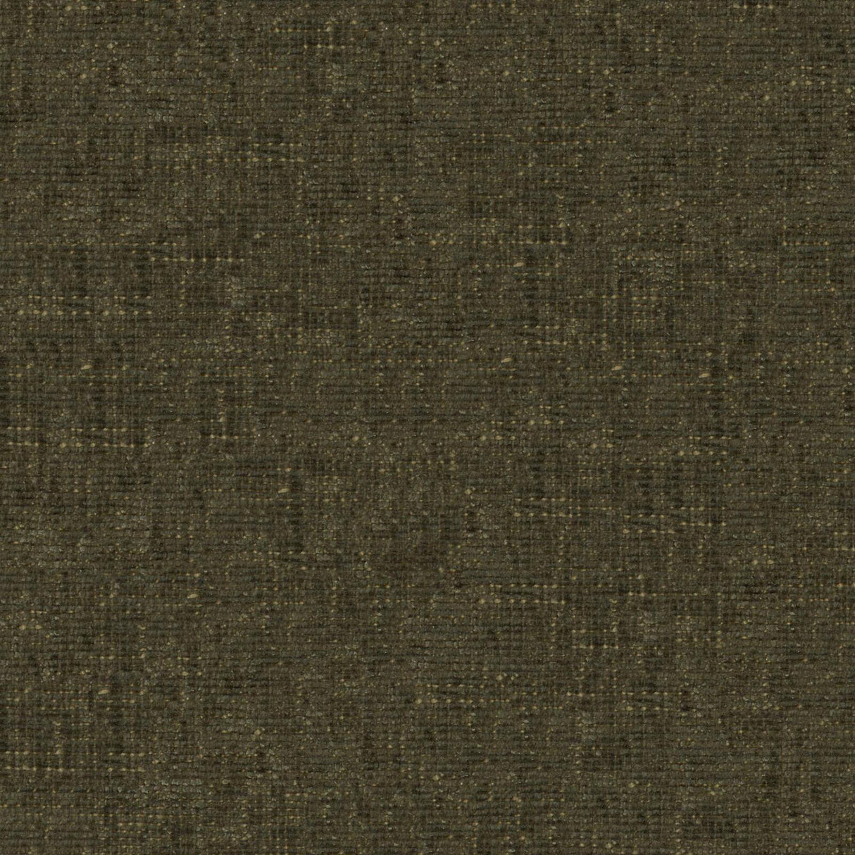 Petal 24