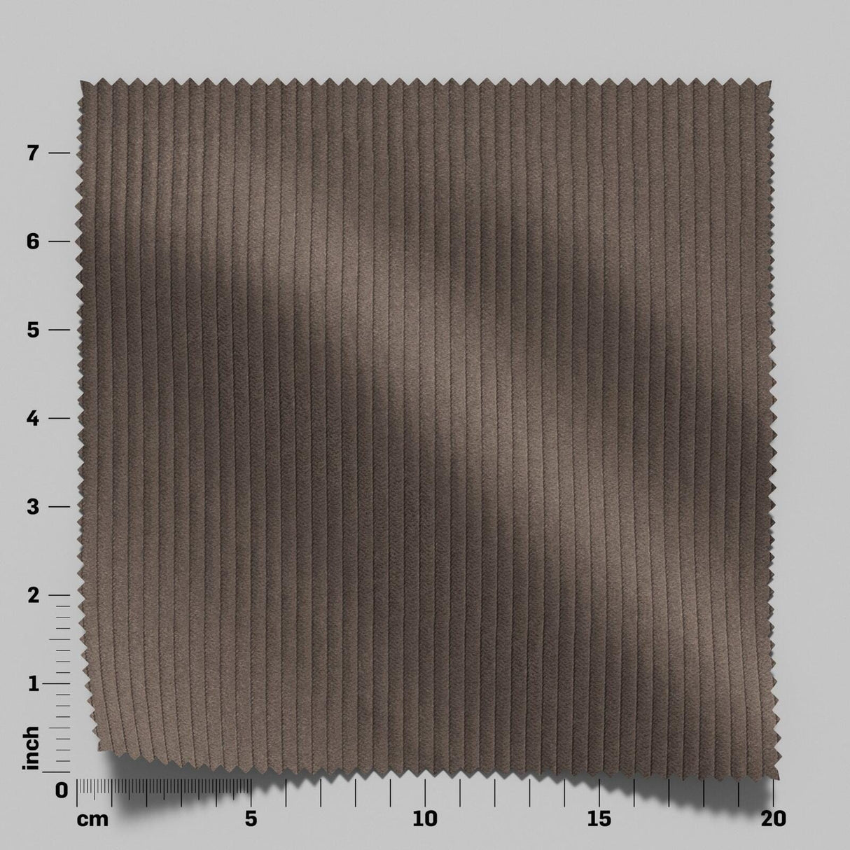 Pindrive 11 Pinecone