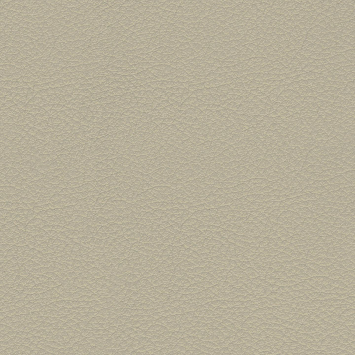 Savoy 408054