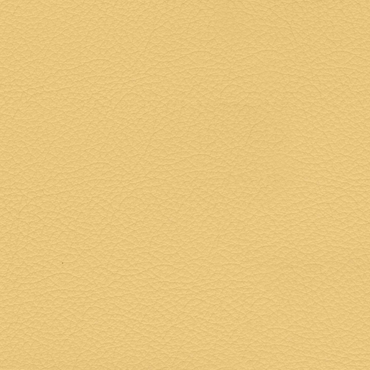 Savoy 409045