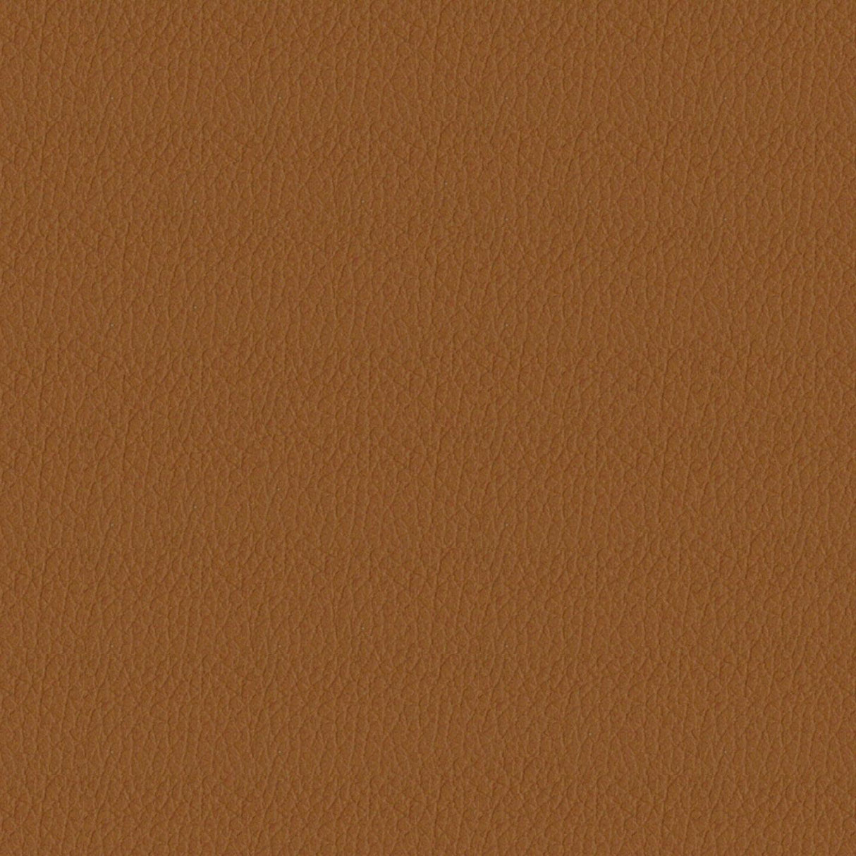 Savoy 410124