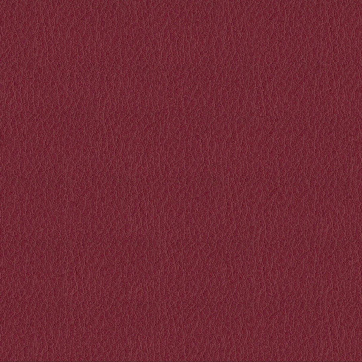 Savoy 416043