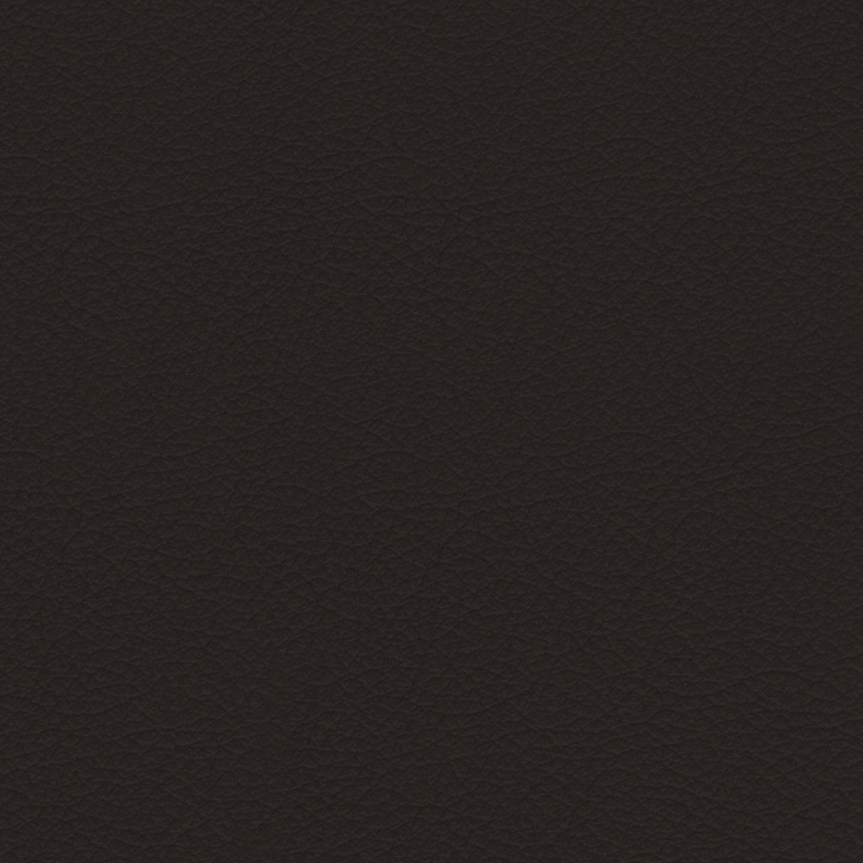 Savoy 423002