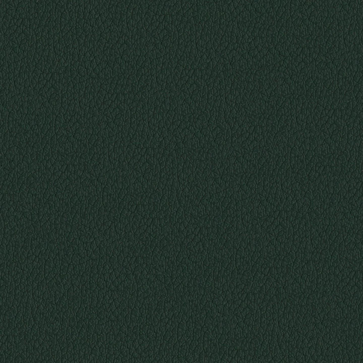 Savoy 425048