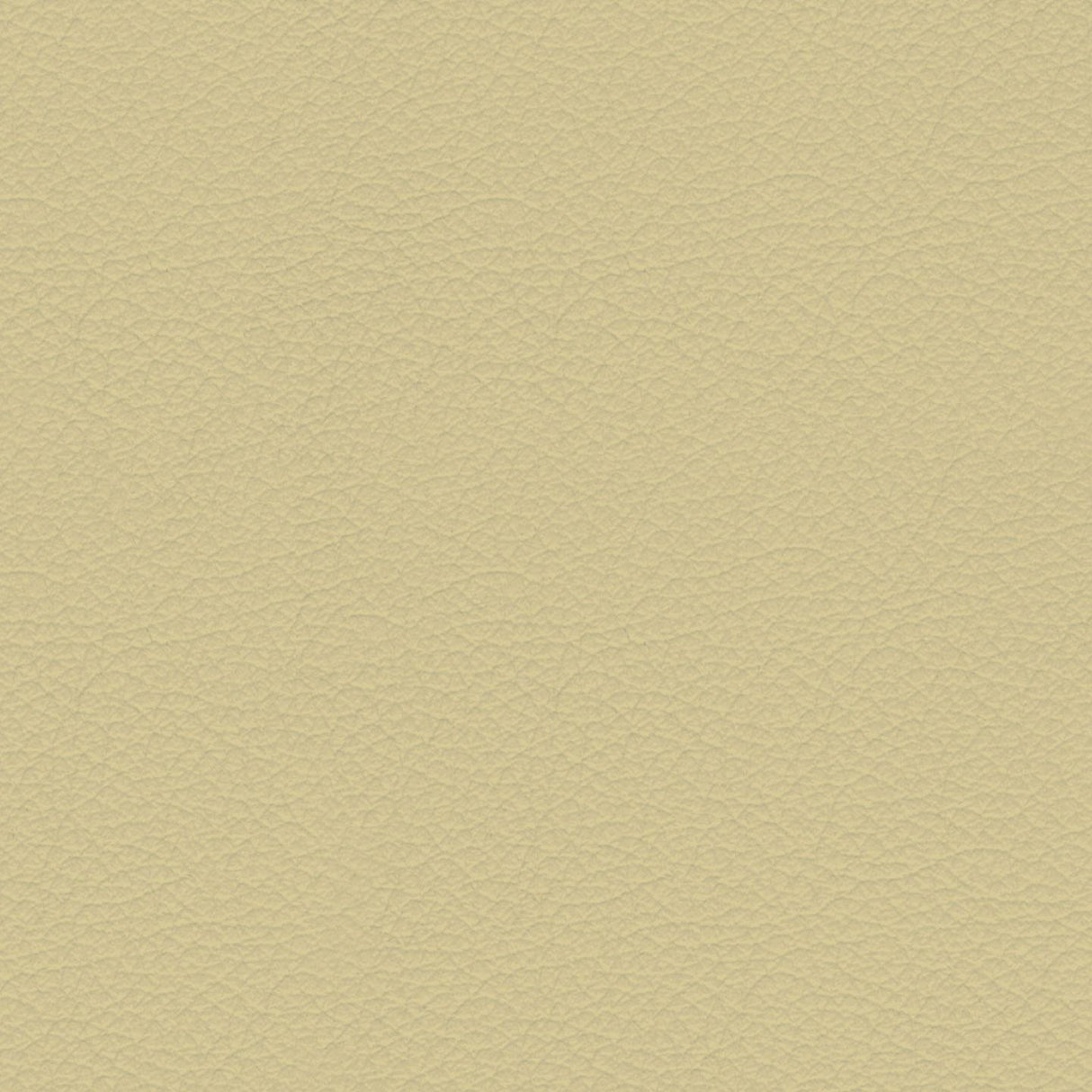 Savoy 428035