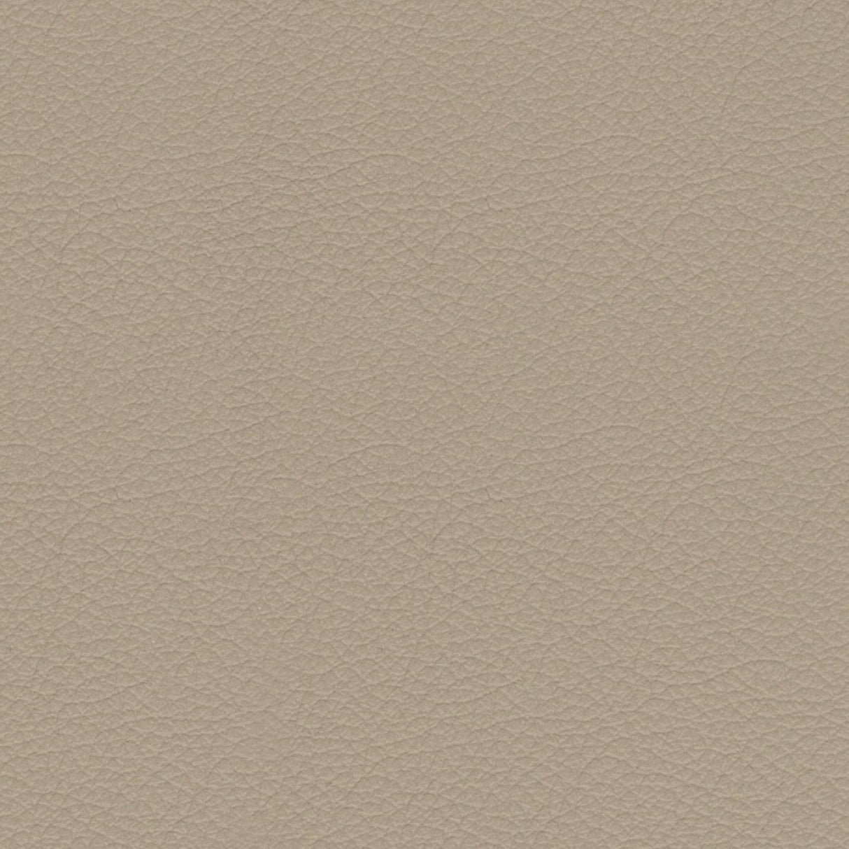 Savoy 429064