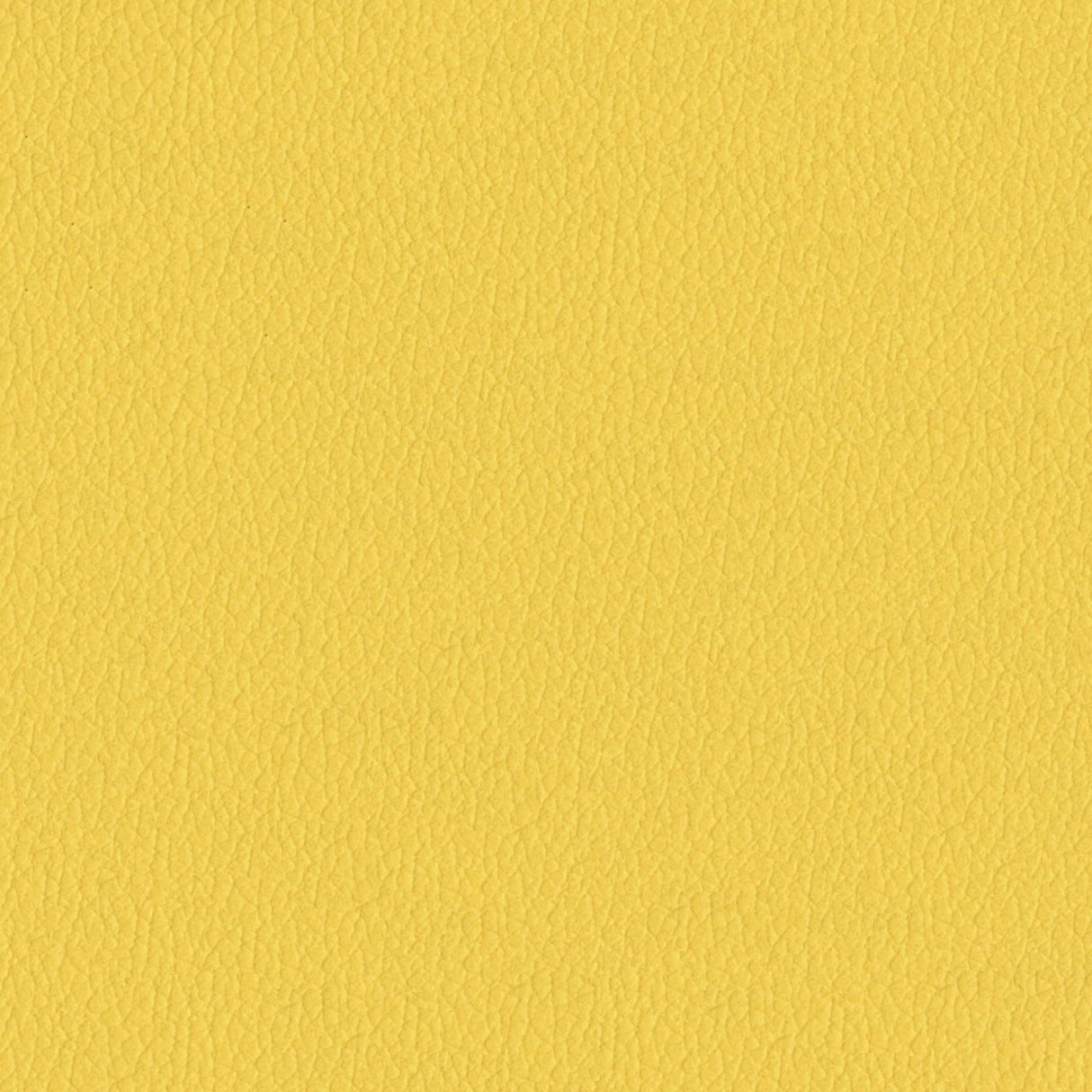 Savoy 430055