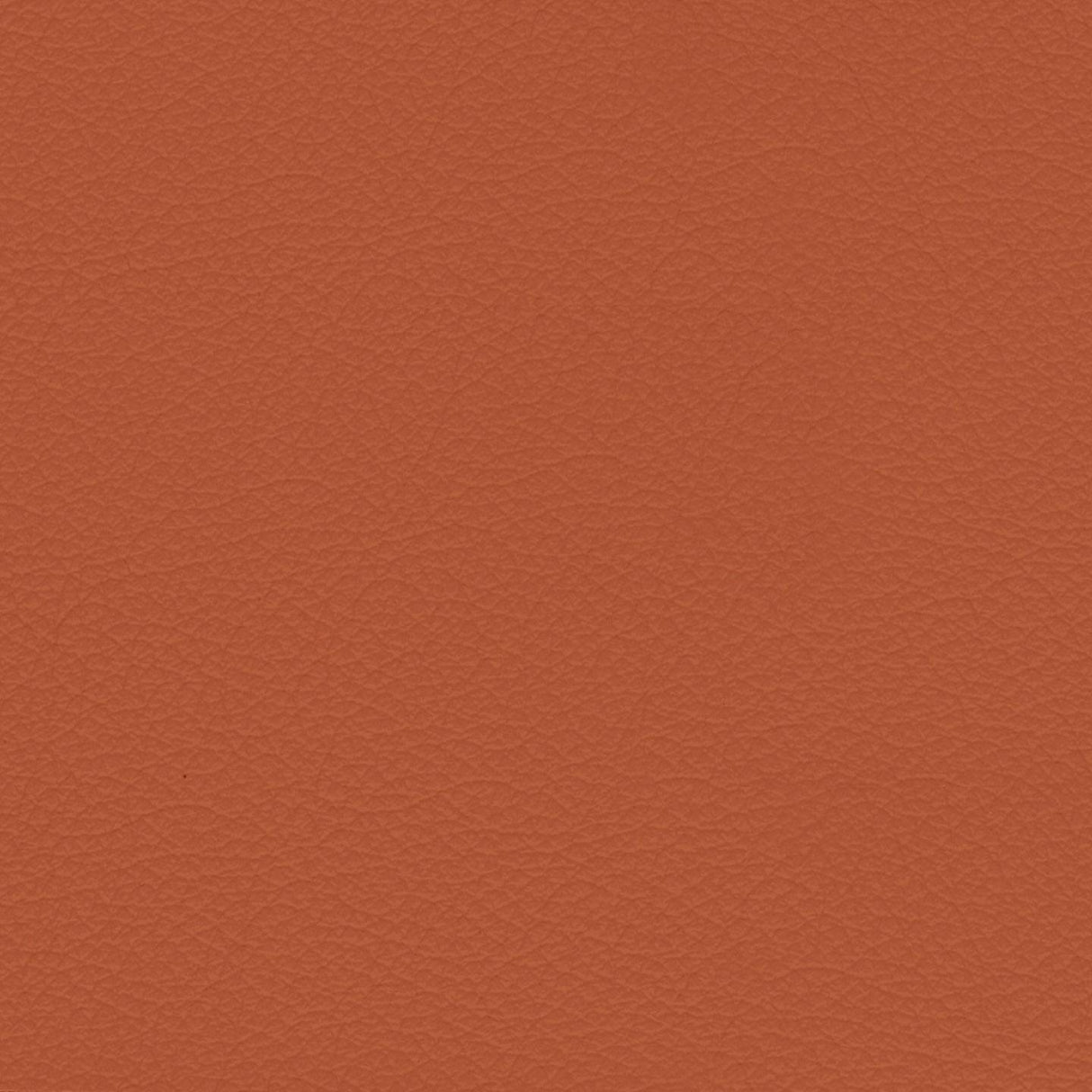 Savoy 433039