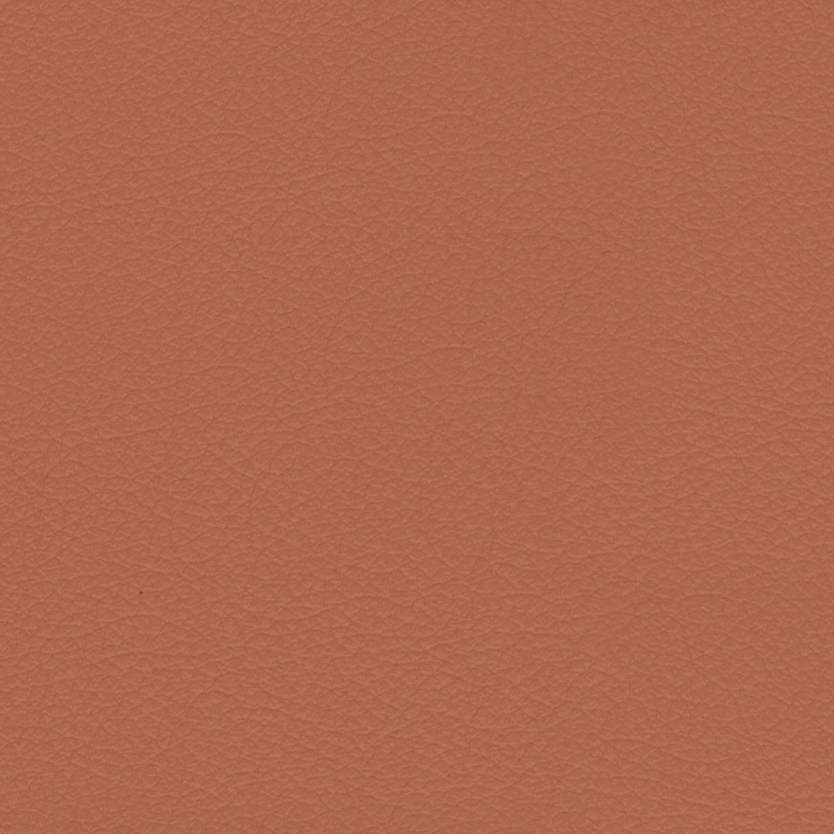 Savoy 434059