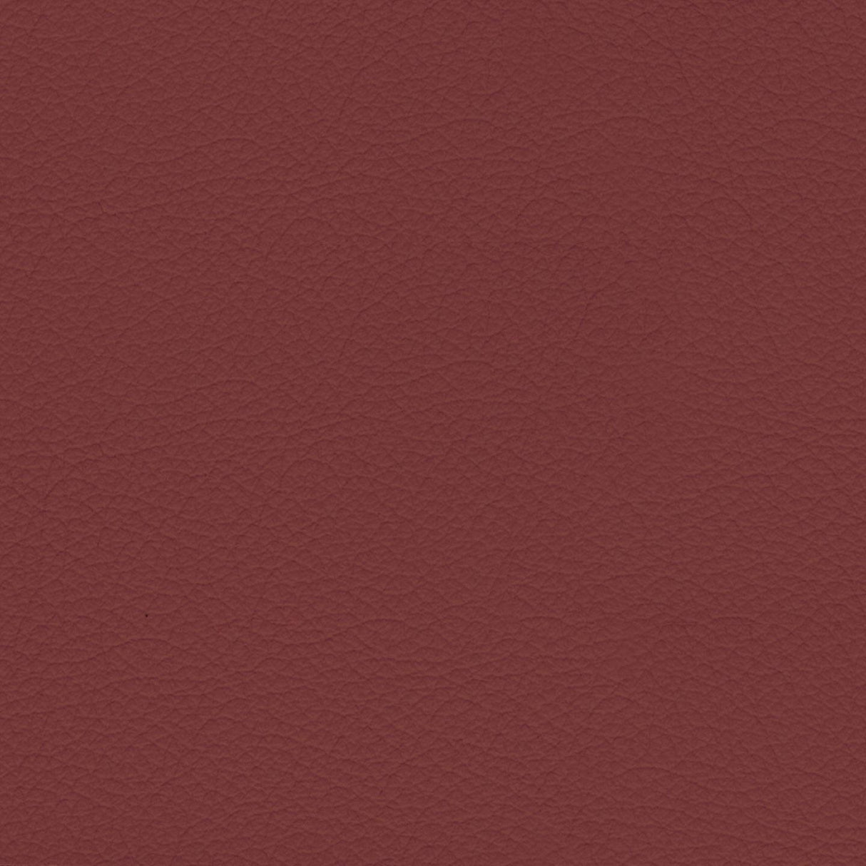 Savoy 435144