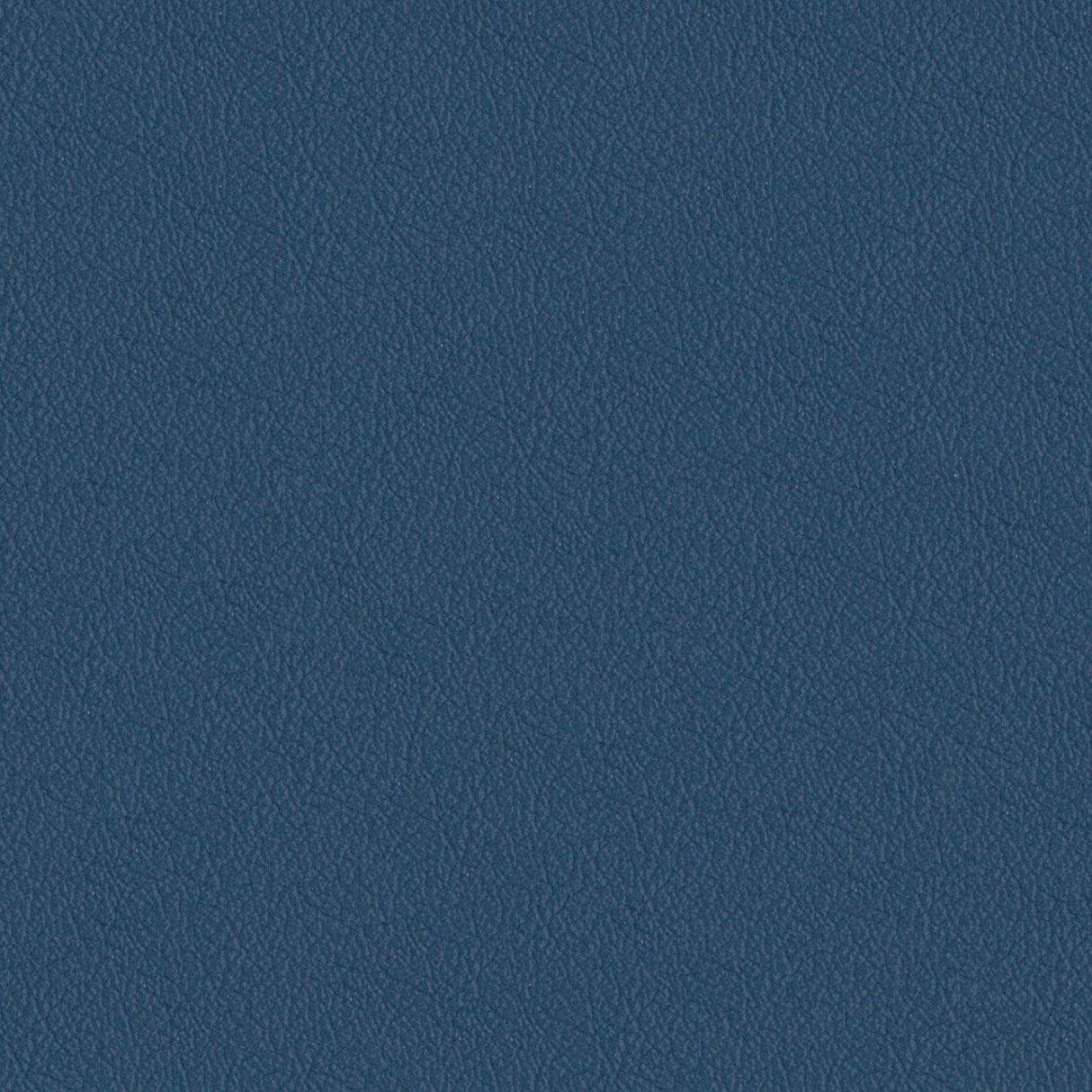 Savoy 440027
