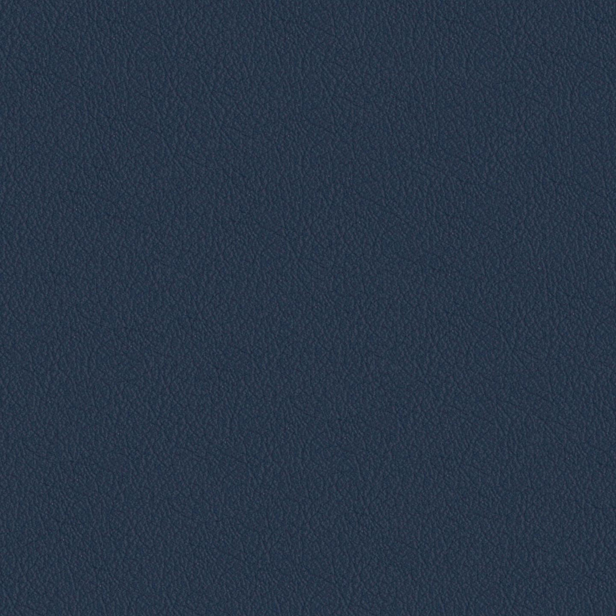 Savoy 441037