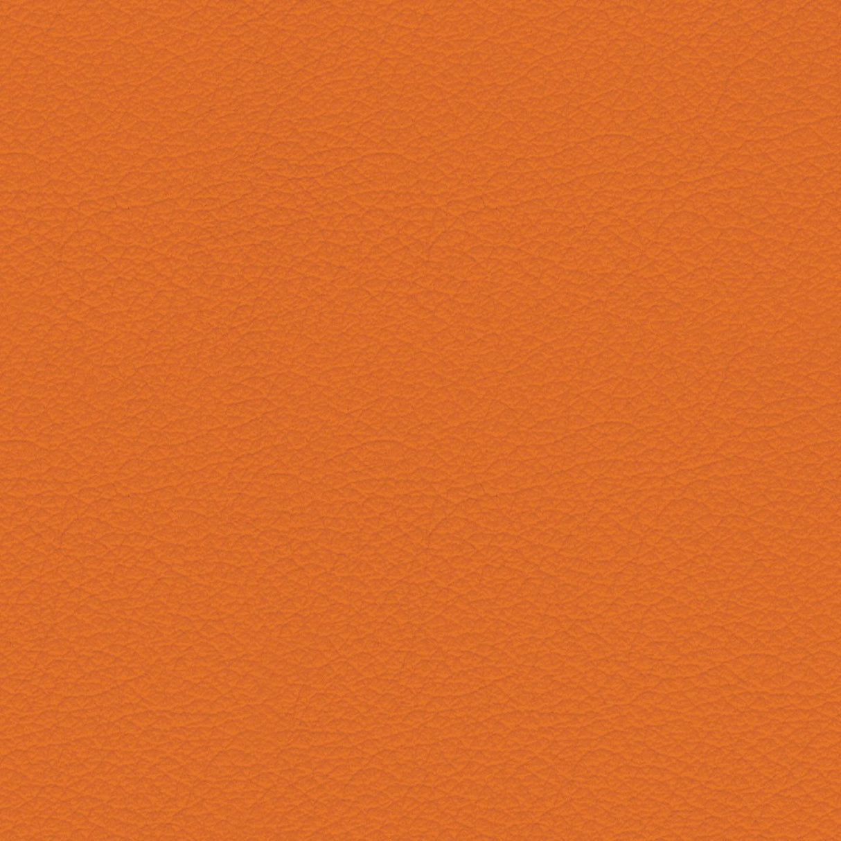 Savoy 442029