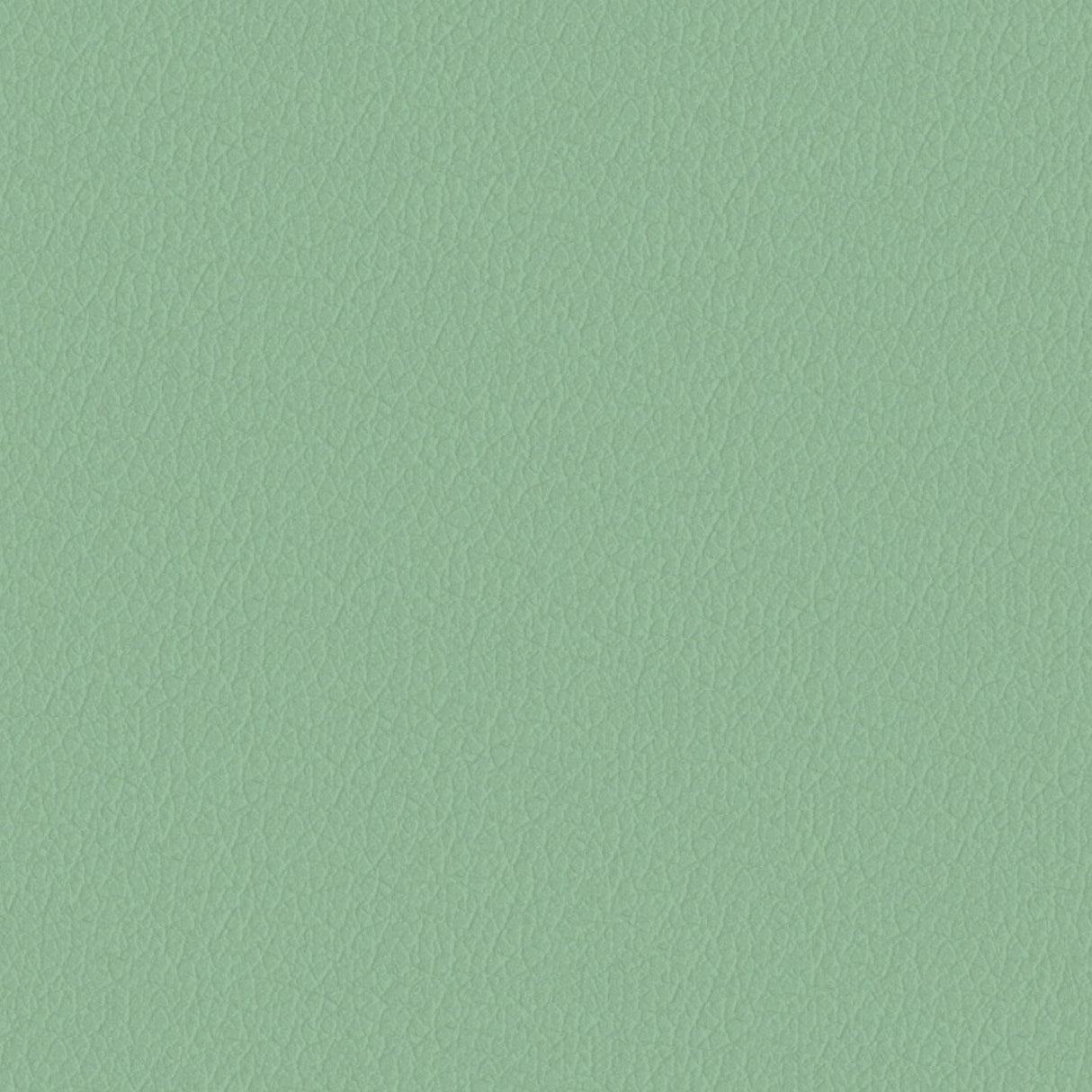 Savoy 445038