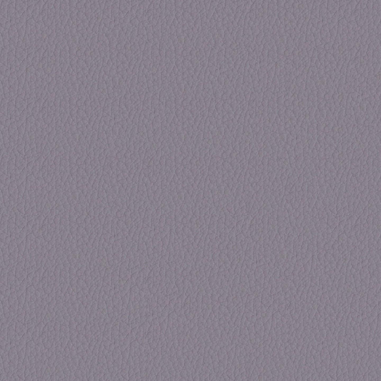 Savoy 449069