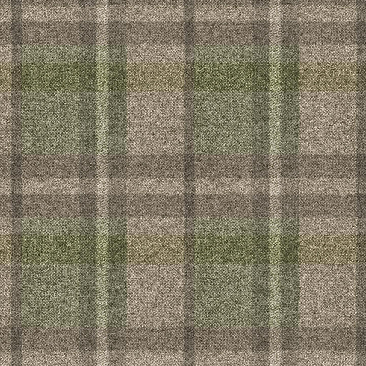 Scotland T38