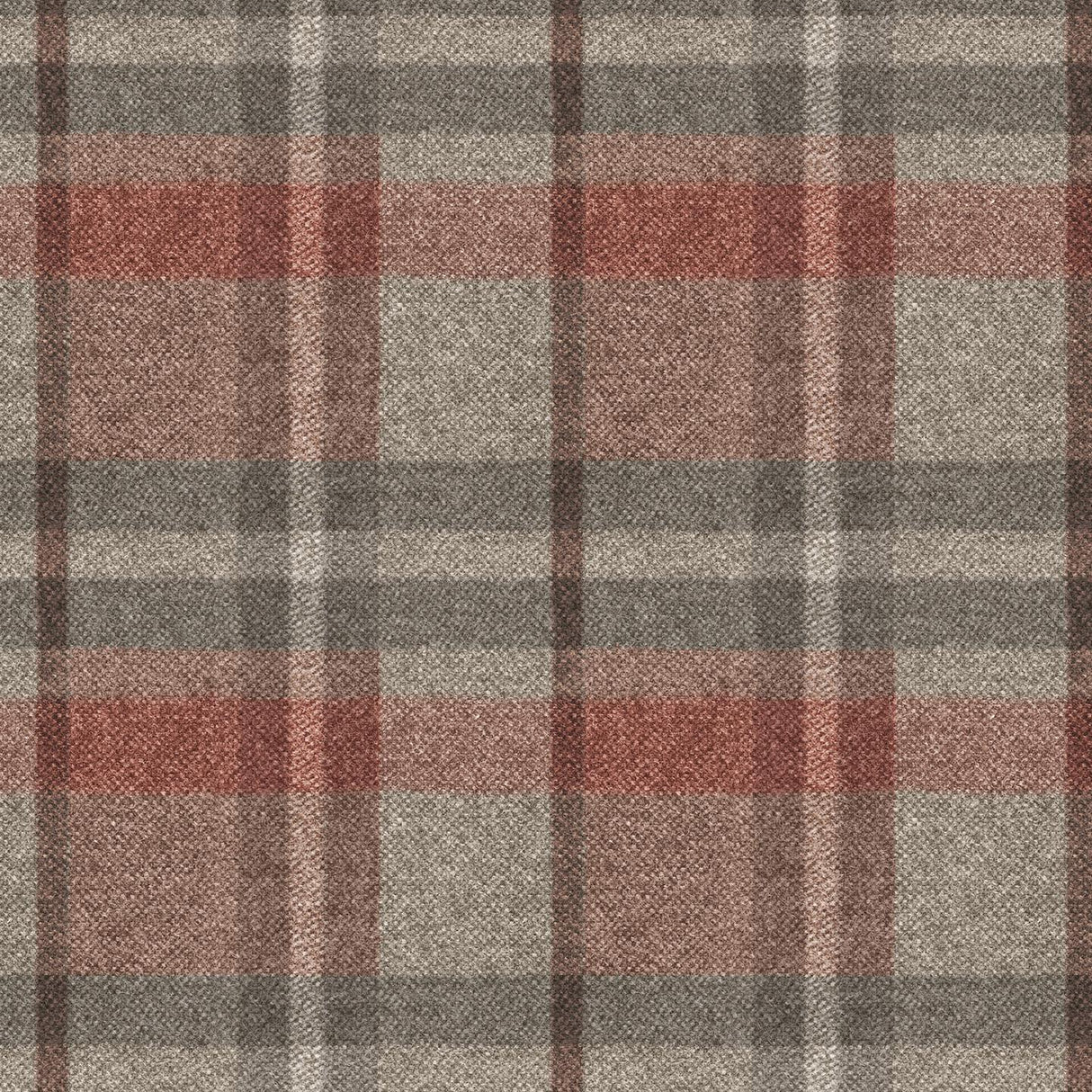 Scotland T43