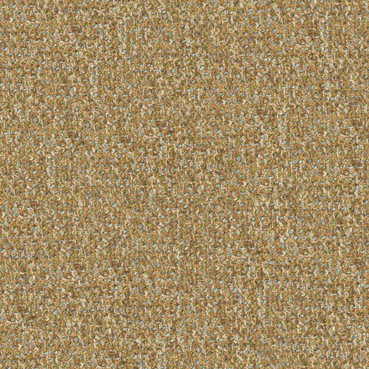 Sonica 24