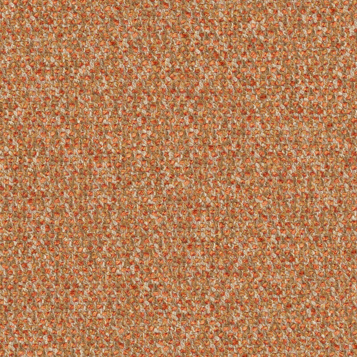 Sonica 25