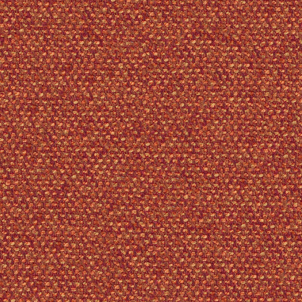 Sonica 26