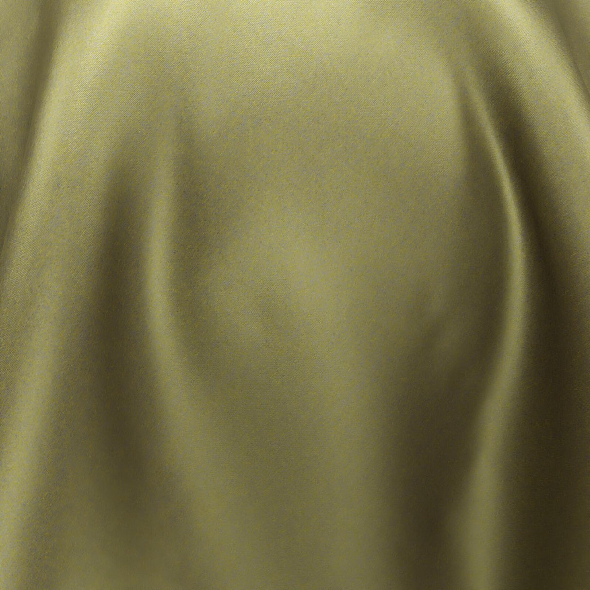 South Face 007 Turtle