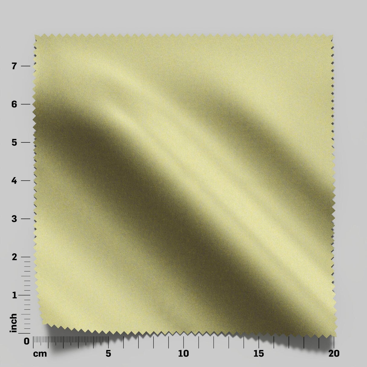 South Face 007 Turtle