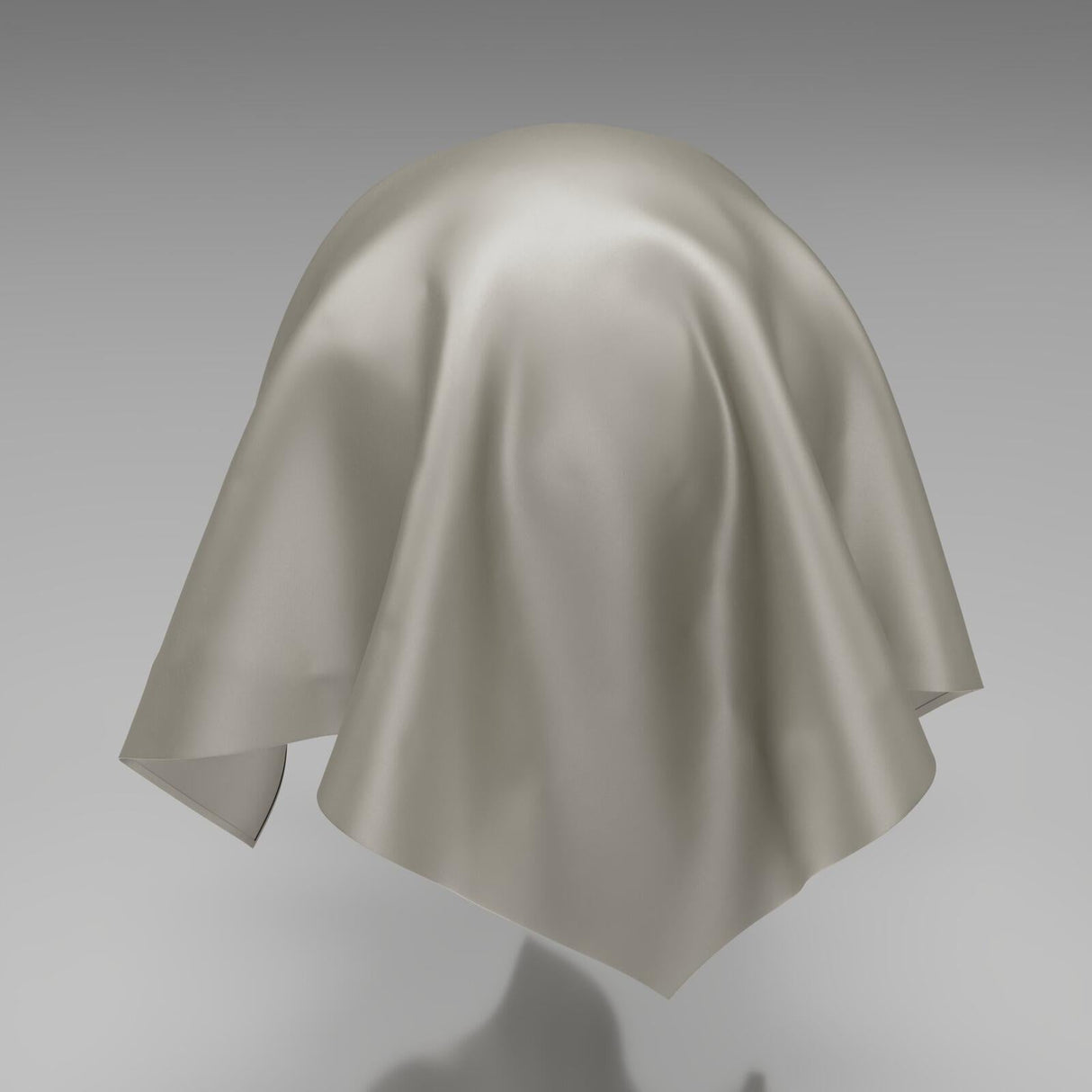 South Face 024 Birch