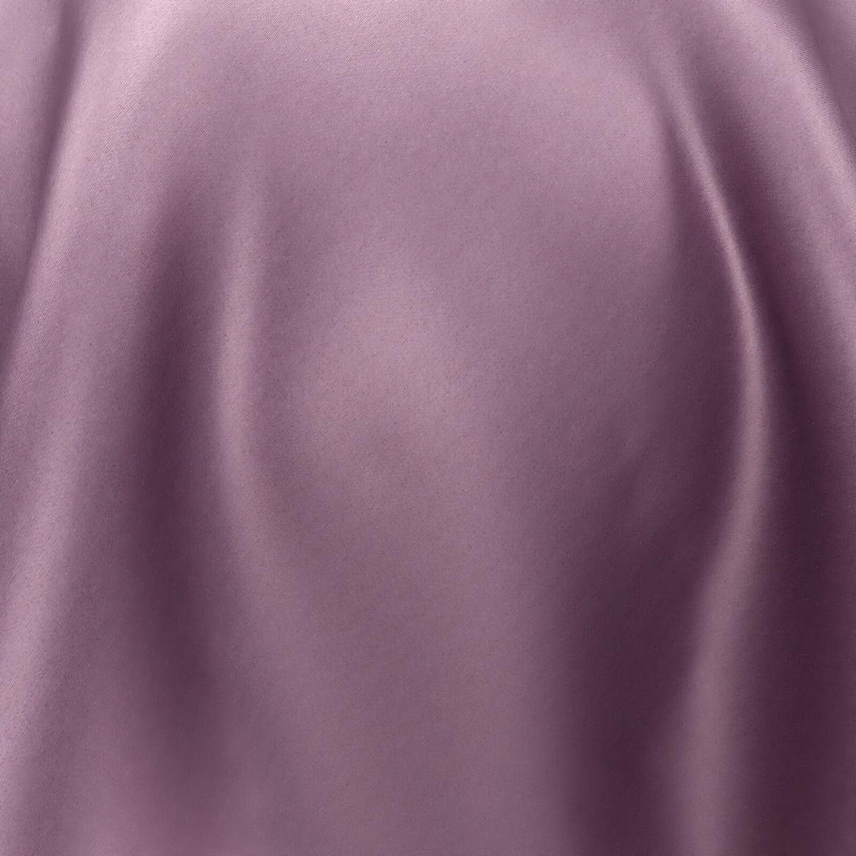 South Face 042 Orchid