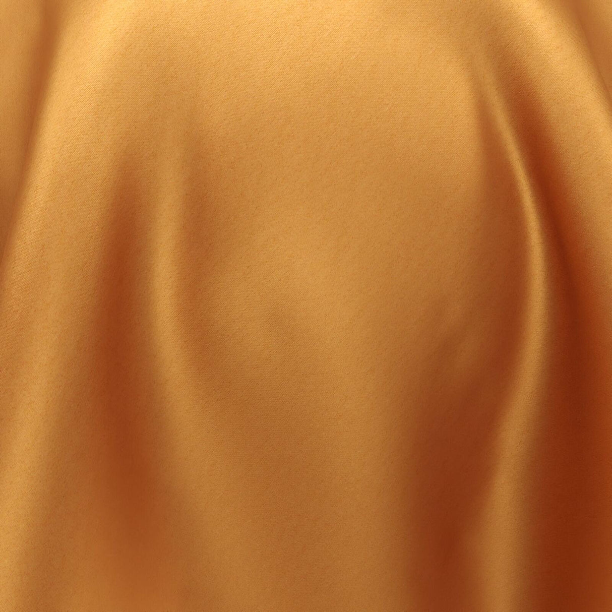 South Face 050 Persimmon