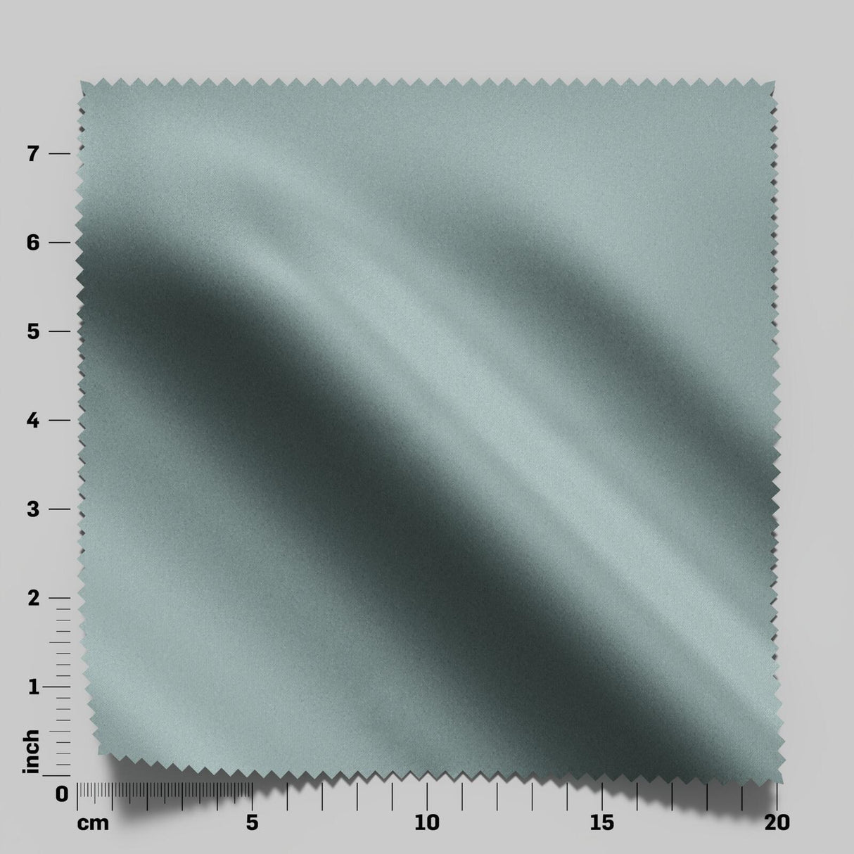 South Face 064 Beetle