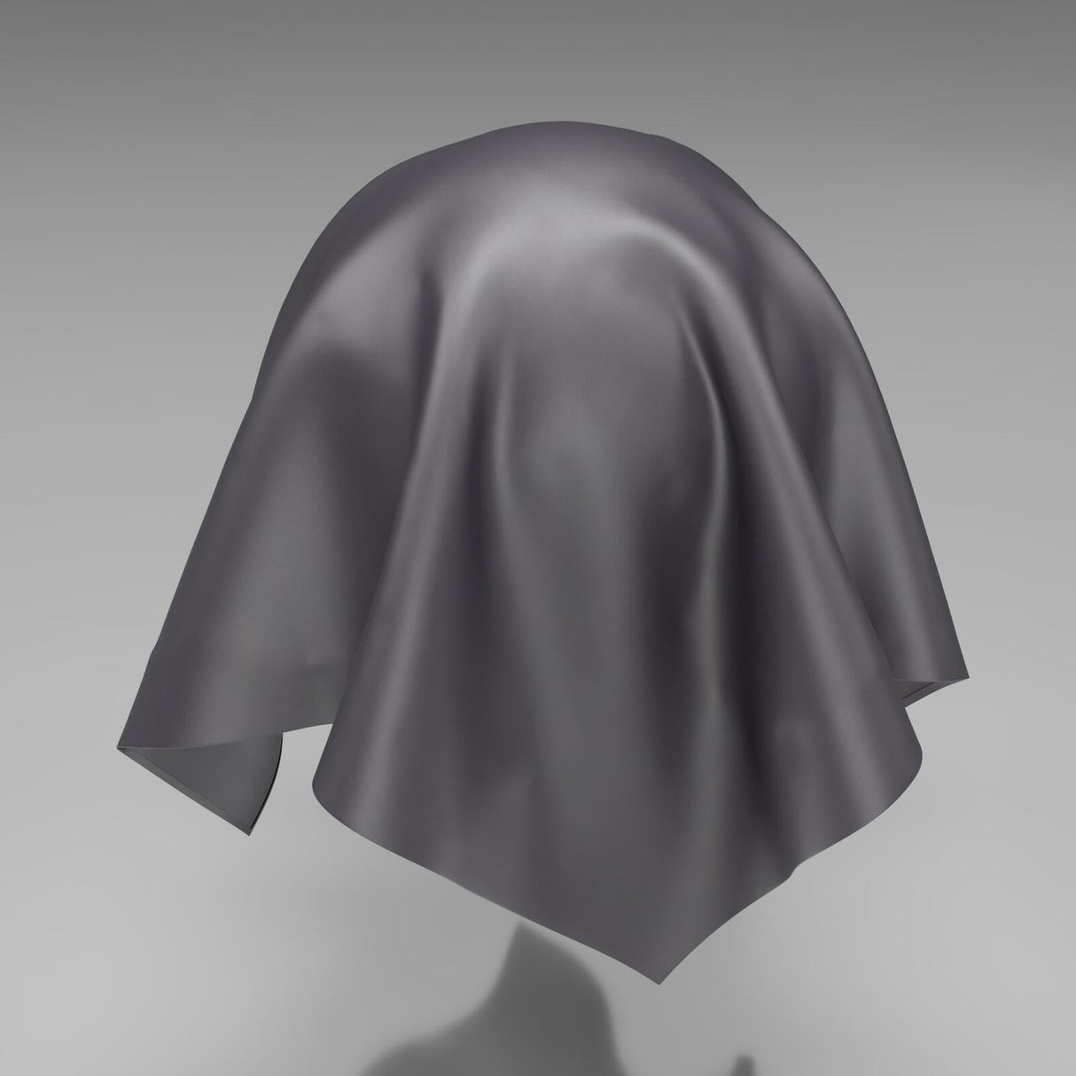 South Face 066 Shark